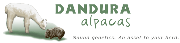 Dandura Alpacas logo